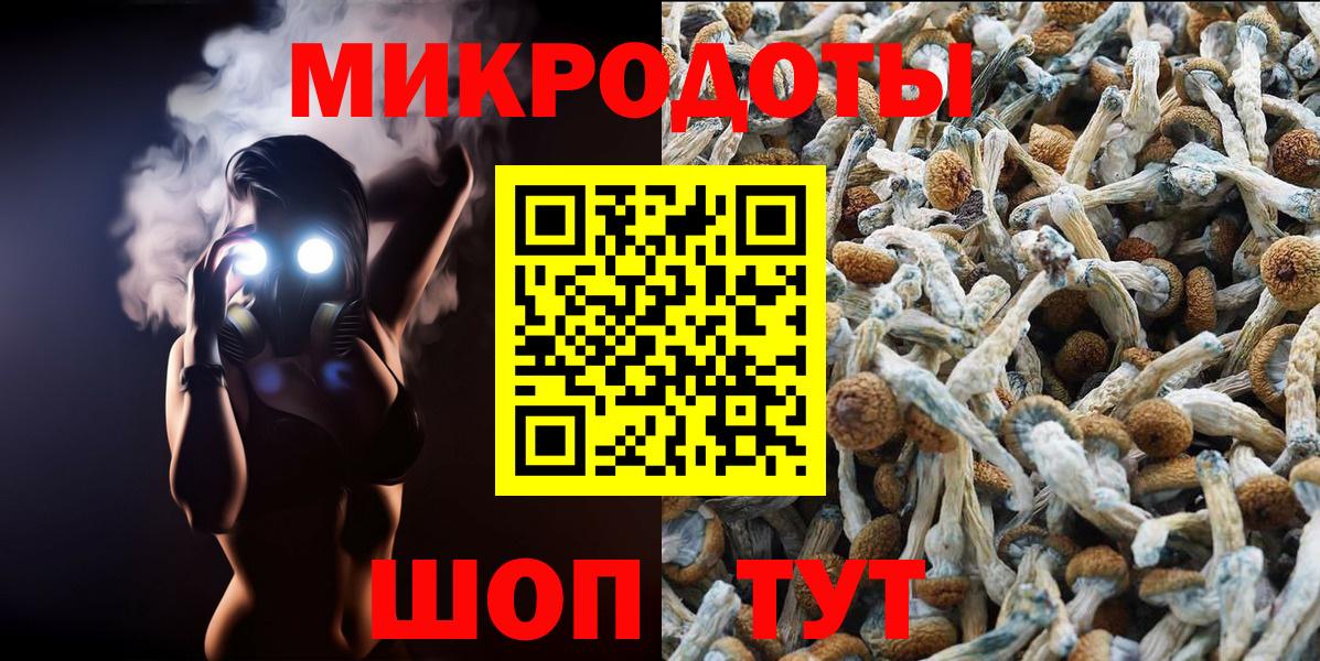Псилоцибиновые грибы GOLDEN TEACHER Каменск-Уральский