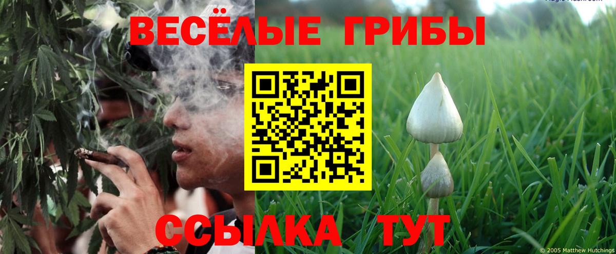 магазин  наркотиков  Вход с VPN  Галлюциногенные грибы Psilocybine cubensis  Каменск-Уральский  Псилоцибиновые грибы MAGIC MUSHROOMS 